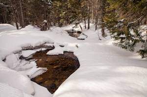 Snowfall Diminishing Each Year
