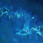 Great Barrier Reef record bleaching event