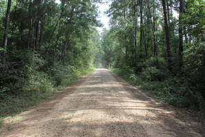 When The Roads Were Dirt In Texas 