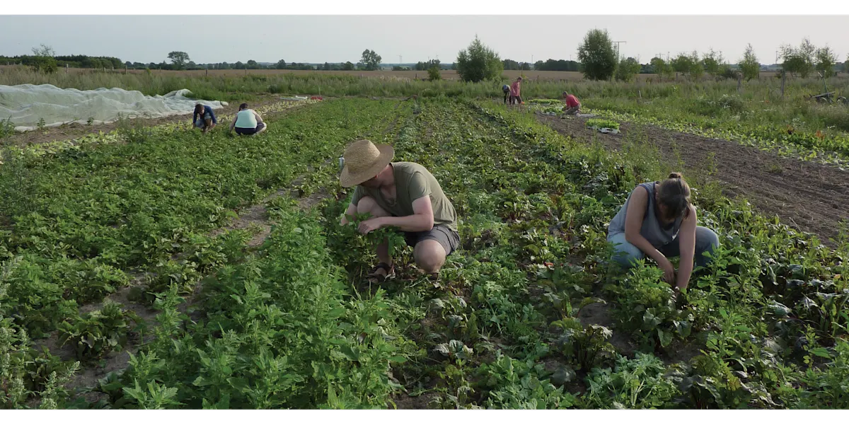 five steps image people farming