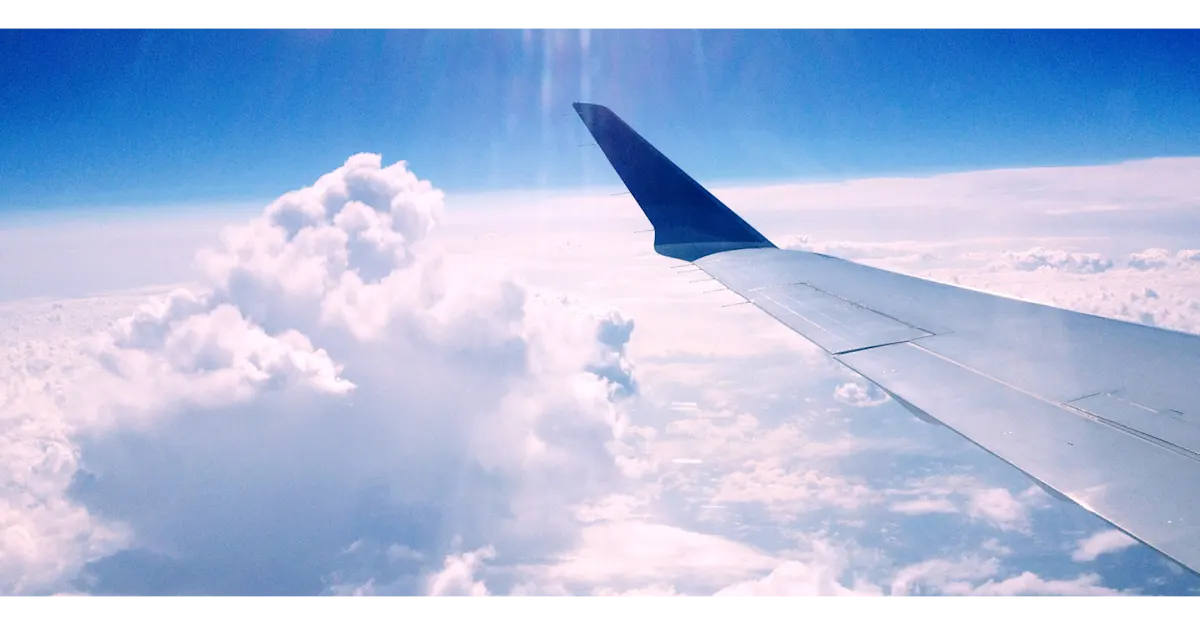 Airplane wing during the day