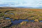 Scottish Peatland