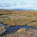 Scottish Peatland