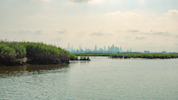 Remaining Meadowlands Become a Wildlife Refuge Amidst Metropolitan Area