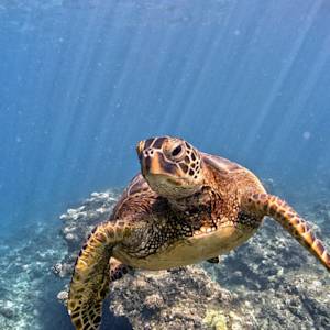 Papahānaumokuākea, world's largest MPAs