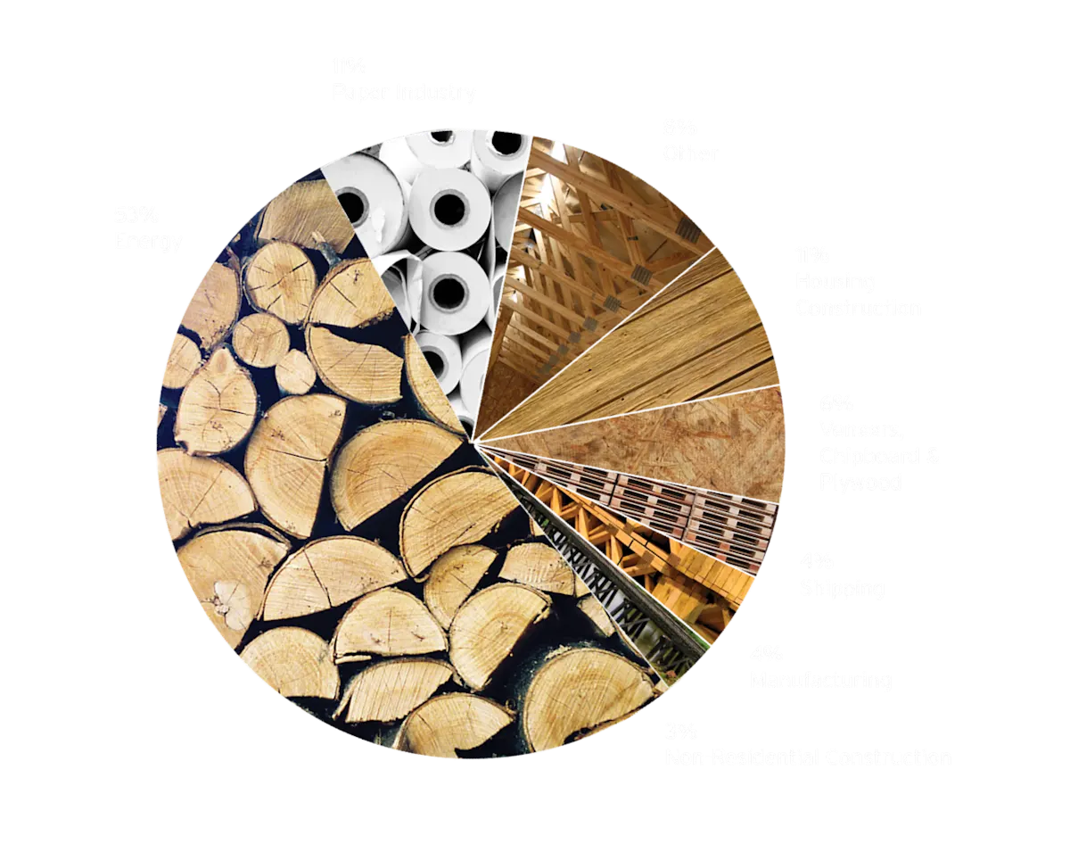 WYCD Forestry - Uses of Wood Lumber pie chart