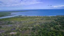 Mangrove restoration in Kenya's Gazi Bay