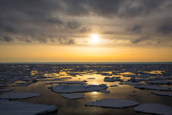 Climate change could lead to cod increase in the Bering Sea