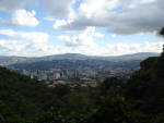 Nature in Caracas