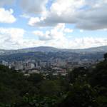 Nature in Caracas