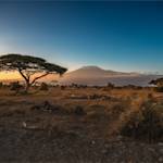 Climate change decimates Amboseli Park