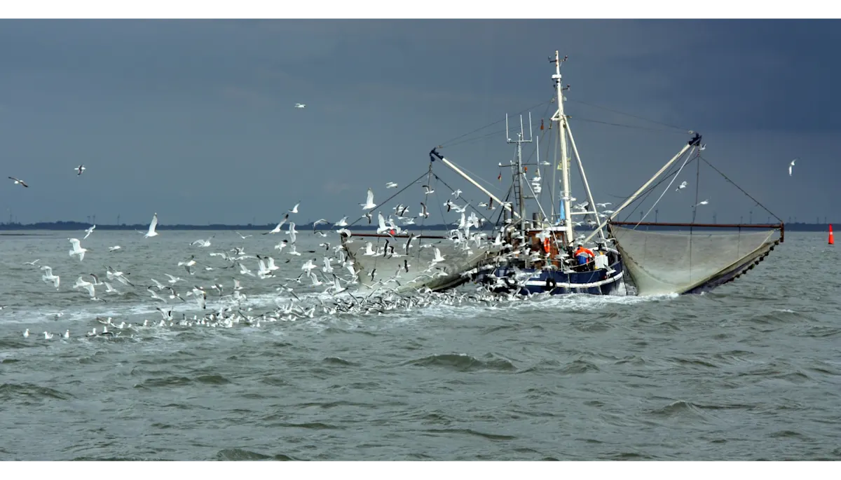 commercial fishing boat