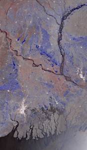 Village in Bangladesh