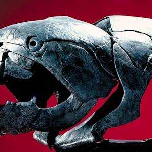 Dunkleosteus