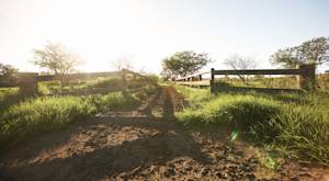 Australia, world leader in organic agriculture