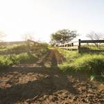 Australia, world leader in organic agriculture