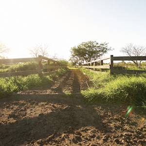 Australia, world leader in organic agriculture