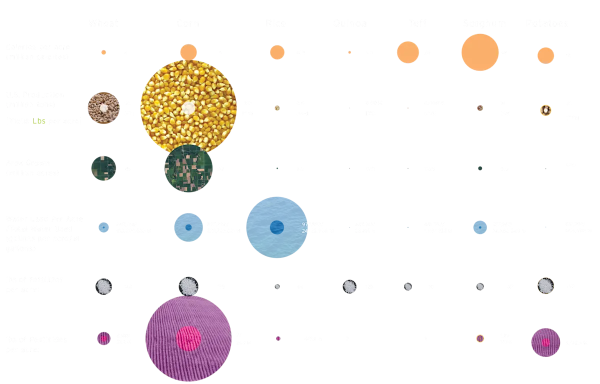 what if we grew crops better suited for their environment