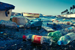 Mediterranean becoming a sea of plastic 