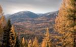 35.4 million acres of boreal forest logged