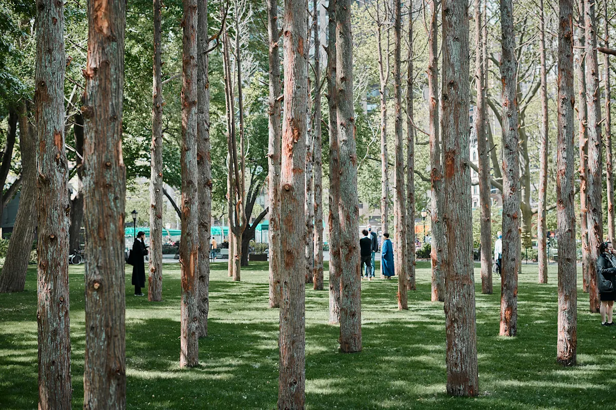 MSPC MLin GhostForest 050621 0119