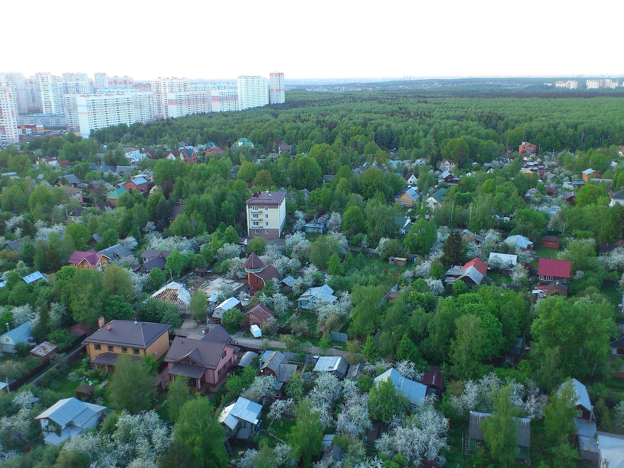What is missing? | Moscow, 50% greenspace