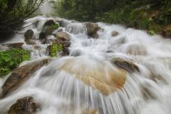 Dam removal in Ukraine aids endangered fish