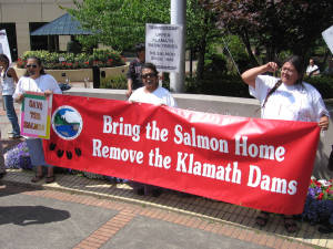 Largest US dam removal, restoring salmon fisheries
