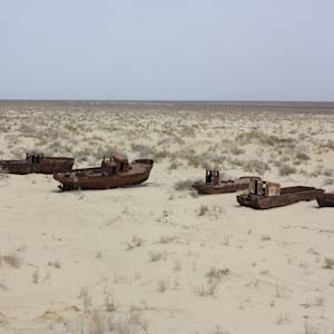 Disappearance of the Aral