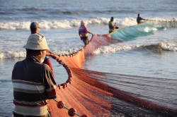 Mediterranean fisheries in trouble