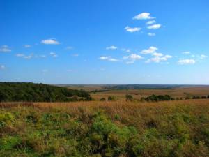 Largest protected tallgrass prairie, J. H. Williams Preserve