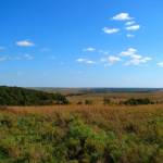 Largest protected tallgrass prairie, J. H. Williams Preserve