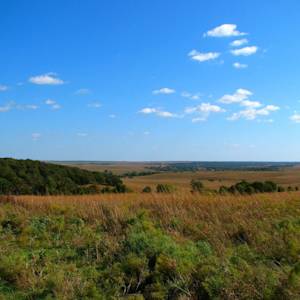 Largest protected tallgrass prairie, J. H. Williams Preserve
