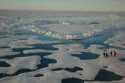 Arctic faces greater risk from acidification