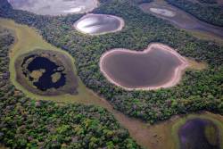 Pantanal on the brink of collapse