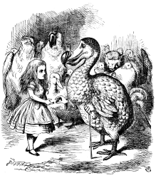 Dodo, awakening to extinction by “the agency of man”