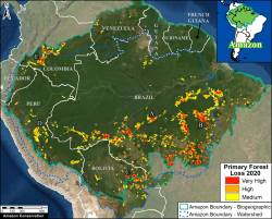 Fire Season Includes Many Intentional Burns in Brazil 
