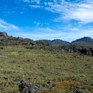 The Costa Rican páramo
