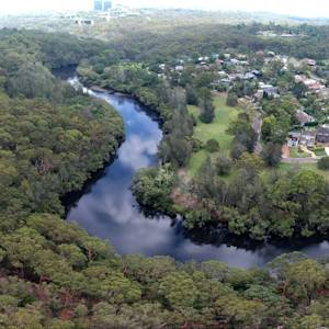 Sydney Bushland