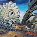 Cambrian Explosion of Life