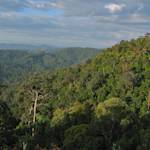 Taman Negara National Park