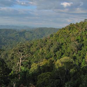 Taman Negara National Park