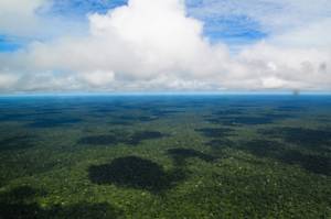 Brazil, largest total area of protected forest lands