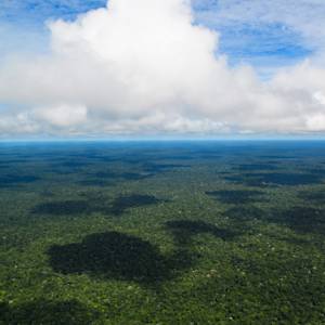 Brazil, largest total area of protected forest lands