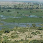 Okavango Wilderness Project
