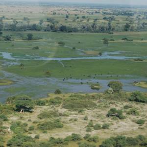Okavango Wilderness Project