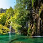 Croatia, highest share of FSC-certified forests in world