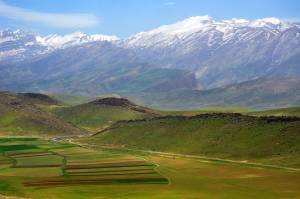 Zagros Mountains Forest Steppe