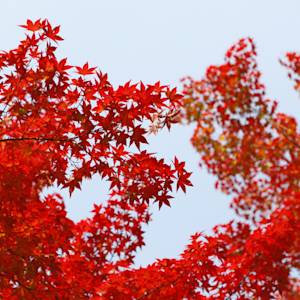 Four seasons no longer