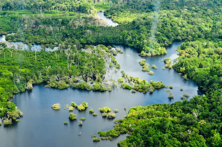 What is missing? | World's largest reforestation project, Brazilian Amazon